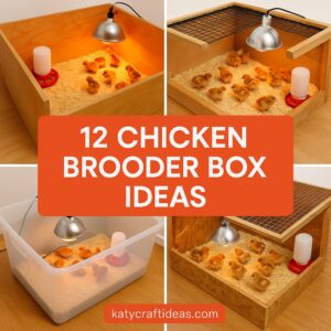 Chicken Brooder Box ideas